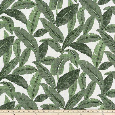 Premier Prints Outdoor Jungle MIRAGE