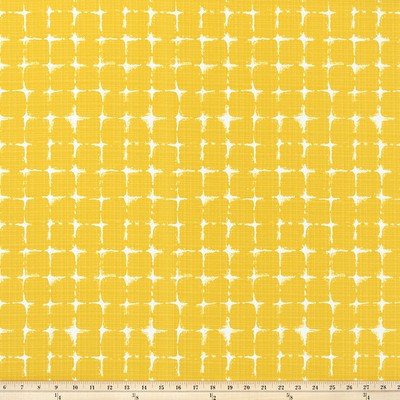 Premier Prints Outdoor Neptune PINEAPPLE