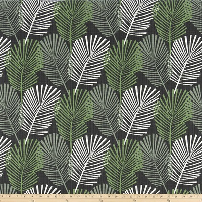 Premier Prints RAIN FOREST PINE