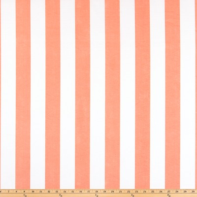 Premier Prints ODT Stripe Coral