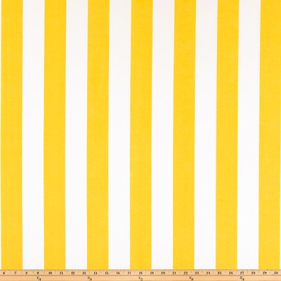 Premier Prints ODT Stripe Pineapple