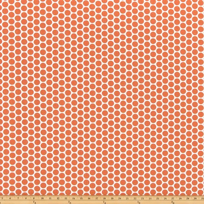 Premier Prints Paco Fiesta