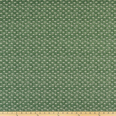 Premier Prints Pima Fir