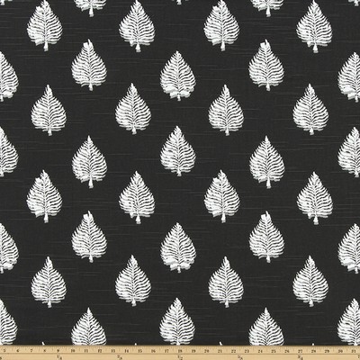 Premier Prints REFLECTION RAVEN