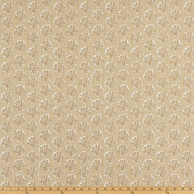 Premier Prints Sea Fan Shoreline