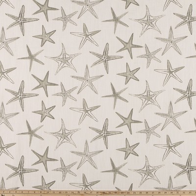 Premier Prints Starfish  CASTLE