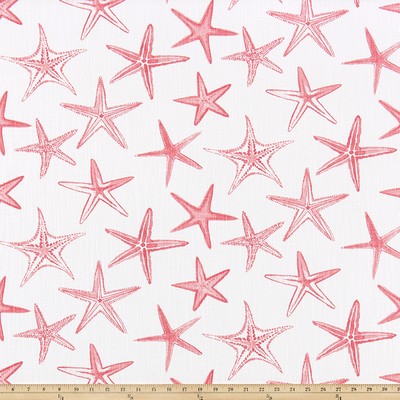 Premier Prints Starfish Sunset Coral
