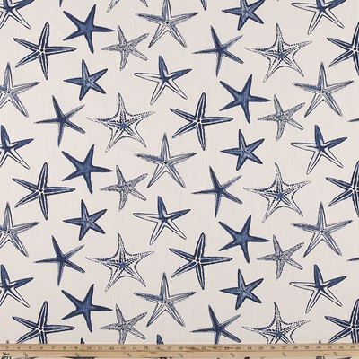 Premier Prints Starfish  VISTA