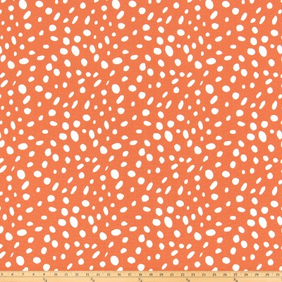 Premier Prints Tali Fiesta