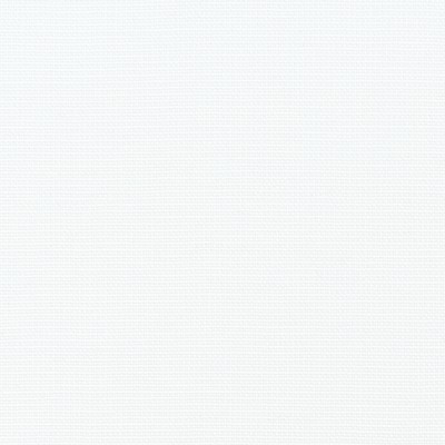 Premier Prints Unprinted WHITE