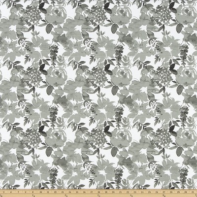 Premier Prints ZINNIA RAVEN