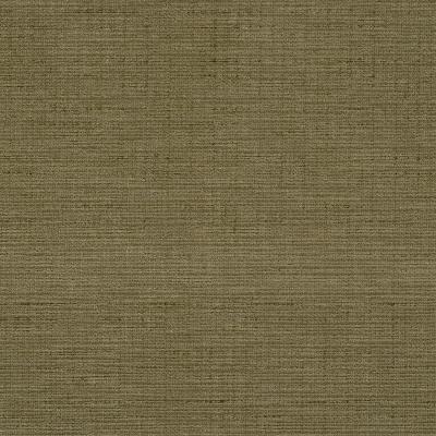 Robert Allen DAVIS SQUARE BONSAI