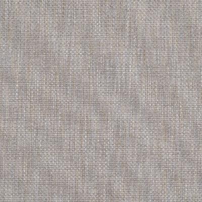 Robert Allen WANOKA SAND DOLLAR