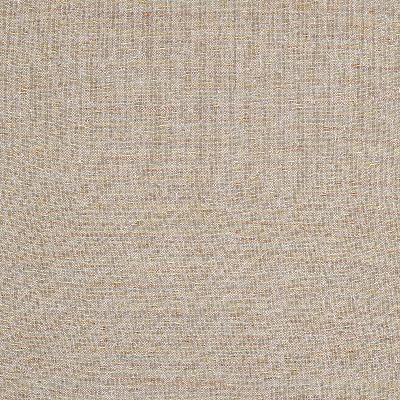 Robert Allen INGONISH DESERT