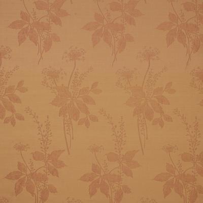 Robert Allen FIRST MORNING DESERT