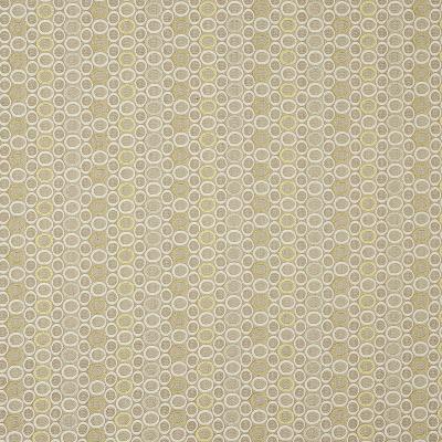 Robert Allen OVAL CIRCLE SAFARI