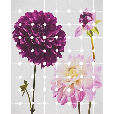 Wall Pops Flowers & Dots Wall Mural Purples