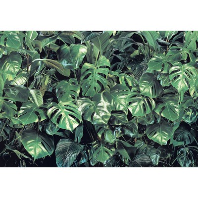 Wall Pops Verdure Wall Mural Greens