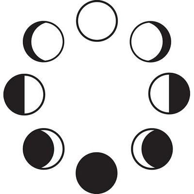 Wall Pops Moon Phase Wall Art Kit  Blacks