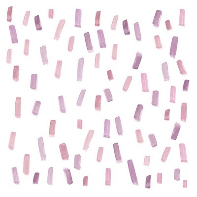 Wall Pops Filbert Wall Art Kit Pinks