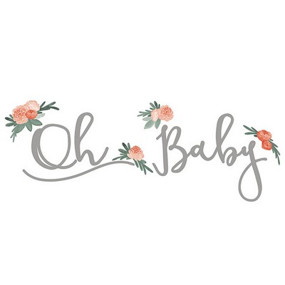 Wall Pops Oh Baby Wall Quote Multicolor