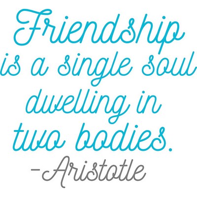 Wall Pops Friendship Soul Wall Quote Blues
