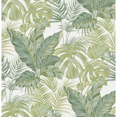 Wall Pops Madagascar Peel & Stick Wallpaper Greens