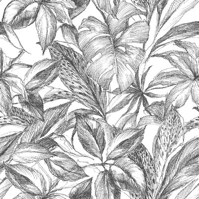 Wall Pops Black Canopy Peel & Stick Wallpaper Blacks