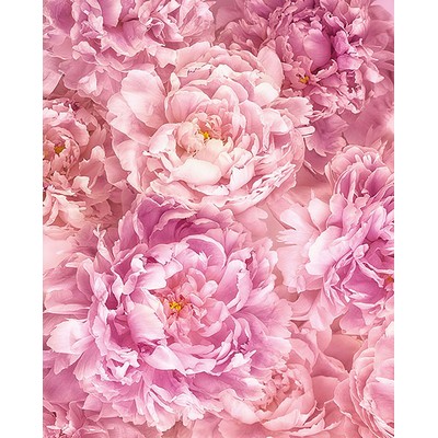 Wall Pops Pink Peonies Wall Mural Pinks