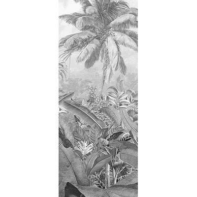 Wall Pops Amazonia Black and White Wall Mural Greys