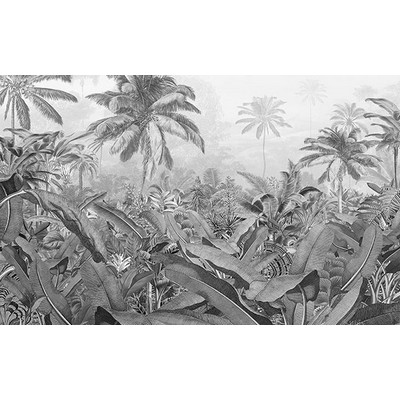 Wall Pops Amazonia Black and White Wall Mural Greys