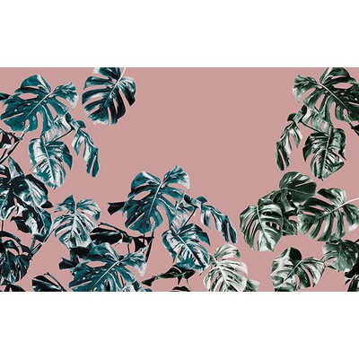 Wall Pops Monstera Rose Wall Mural Pinks