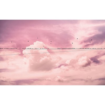 Wall Pops Cloud Wire Wall Mural Pinks