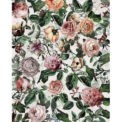 Wall Pops Romance Wall Mural Multicolor