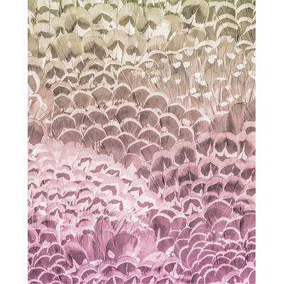 Wall Pops Ombre Feathers Wall Mural Pinks