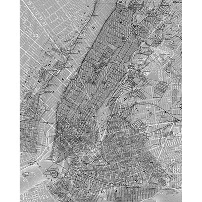 Wall Pops NYC Map Wall Mural Greys