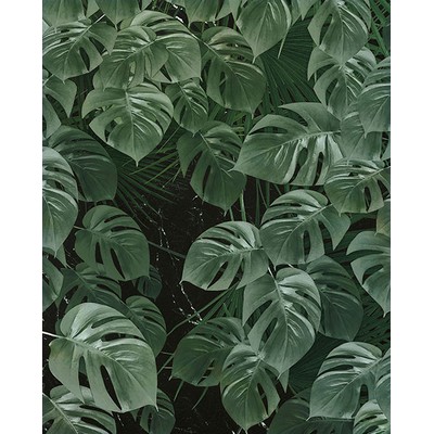 Wall Pops Monstera Leaf Wall Mural Greens