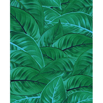 Wall Pops Jungle Leaves Wall Mural Greens