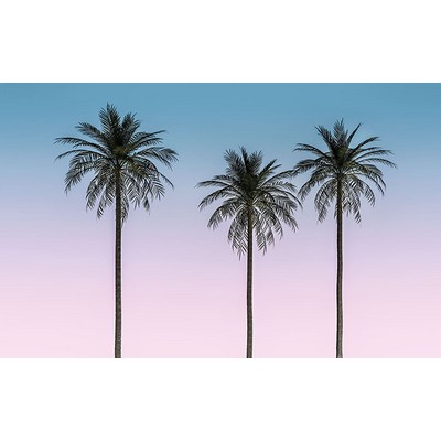 Wall Pops Ombre Palm Tree Wall Mural Purples