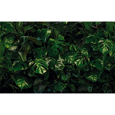 Wall Pops Tropical Leaves Wall Mural Greens