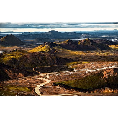 Wall Pops Urwelten Wall Mural Multicolor