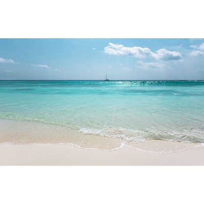 Wall Pops Turquoise Waters Wall Mural Blues