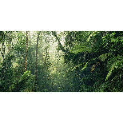 Wall Pops Green Tropics Wall Mural Greens