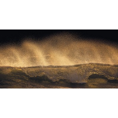 Wall Pops Golden Wave Wall Mural Oranges