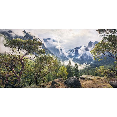 Wall Pops Unique Paradise Wall Mural Multicolor