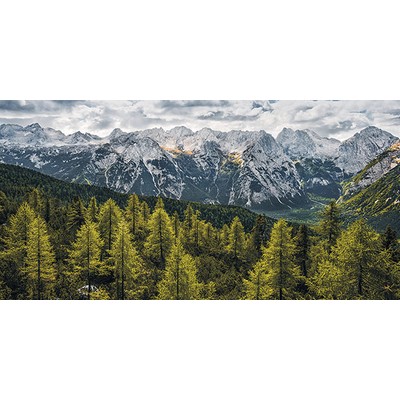 Wall Pops Wild Dolomites Wall Mural Multicolor