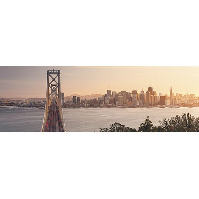 Wall Pops California Dreaming Wall Mural Multicolor