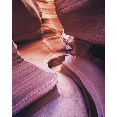 Wall Pops Canyon Wall Mural Purples