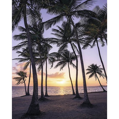 Wall Pops Palmtrees on Beach Wall Mural Multicolor