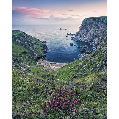 Wall Pops The Blue Bay Wall Mural Multicolor